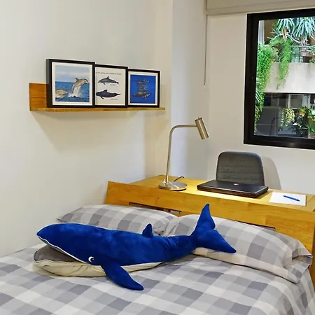 Cruz De Tenerife, Piso Centrico, Amplio Y Con Garaje * Santa Cruz de Tenerife